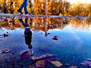 Eine Person läuft an einer Pfütze entlang. Die Person spiegelt sich im Wasser. Es ist ein bunter Herbsttag.